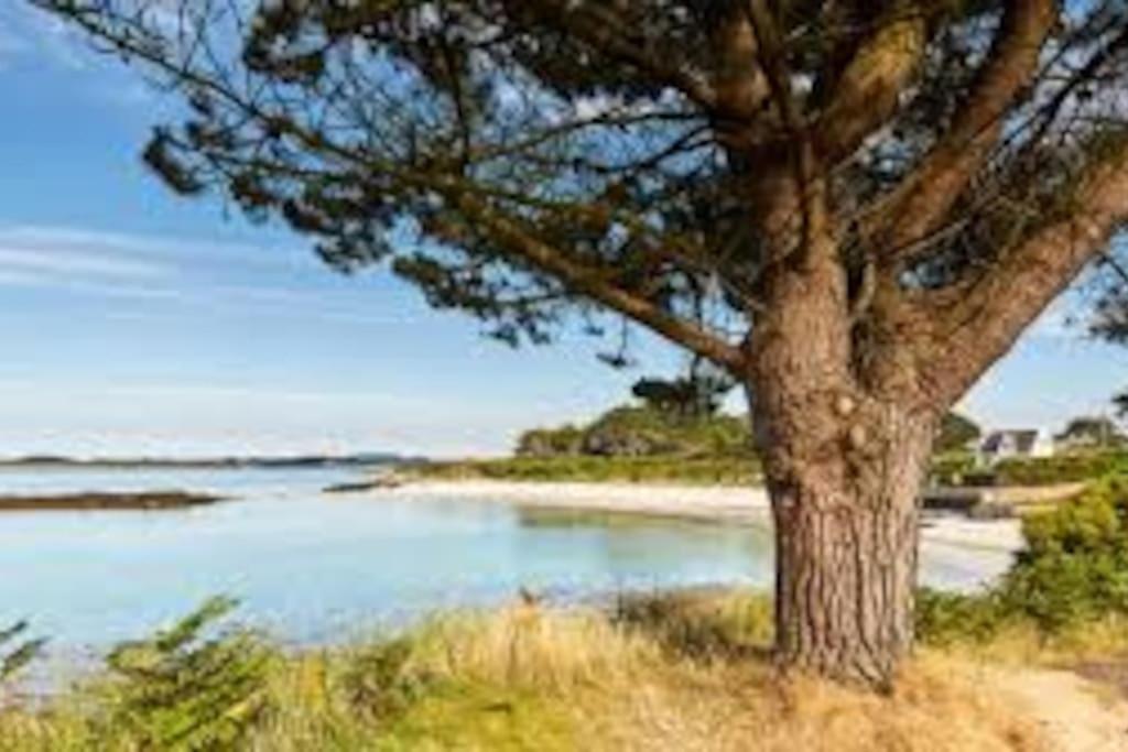 Holiday home Entre Et Abers *